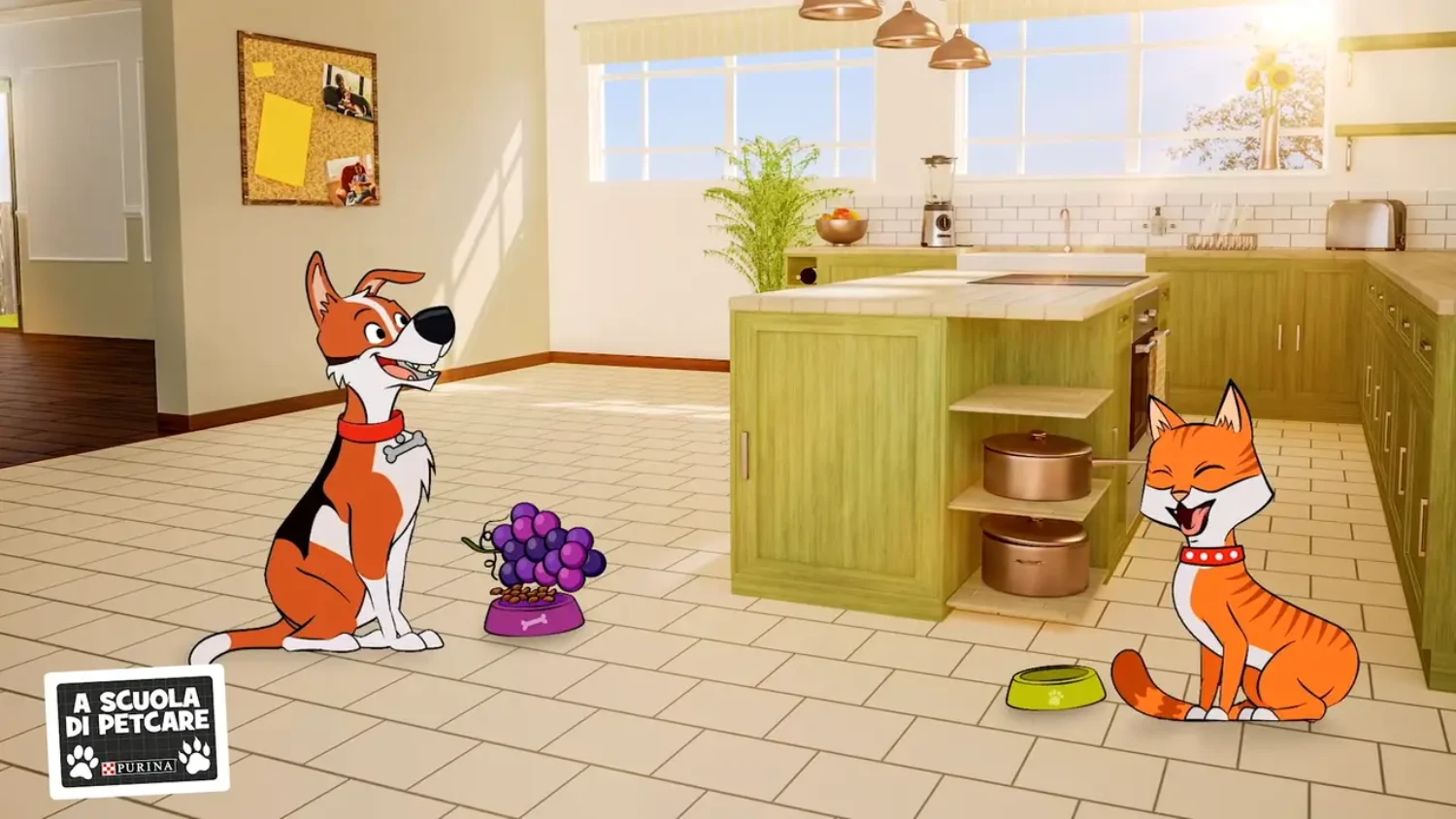 Cartoni animati didattici - Purina video lezione cibo