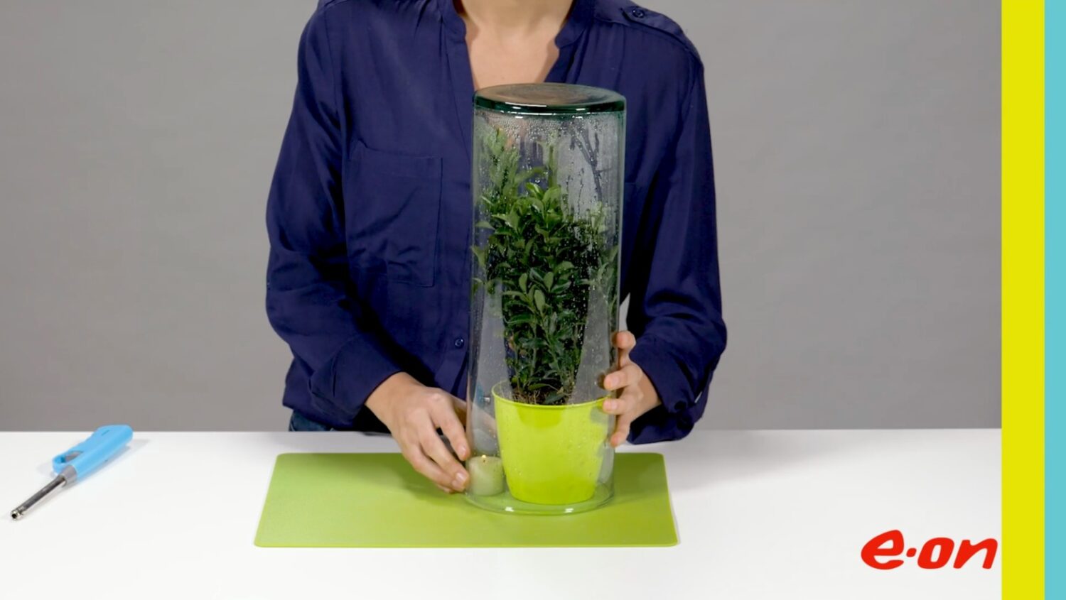 EON video esperimenti pianta