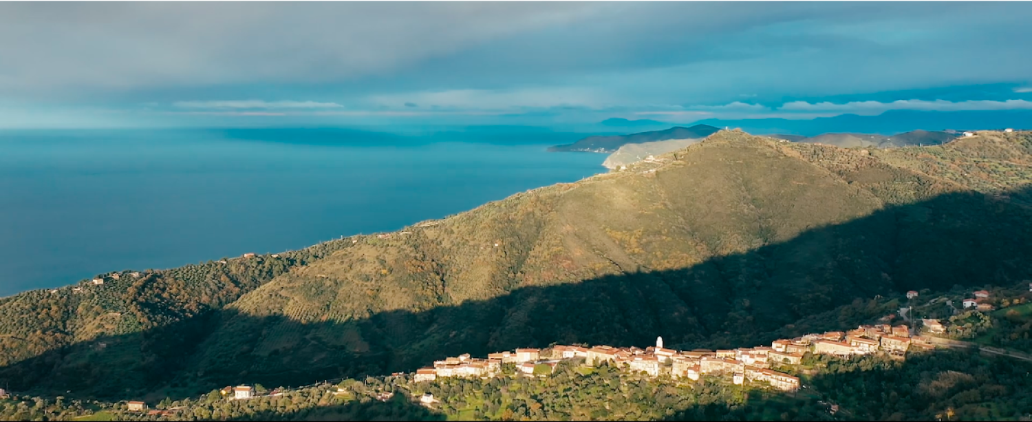Installazione artistica - No Food Tomorrow Pollica